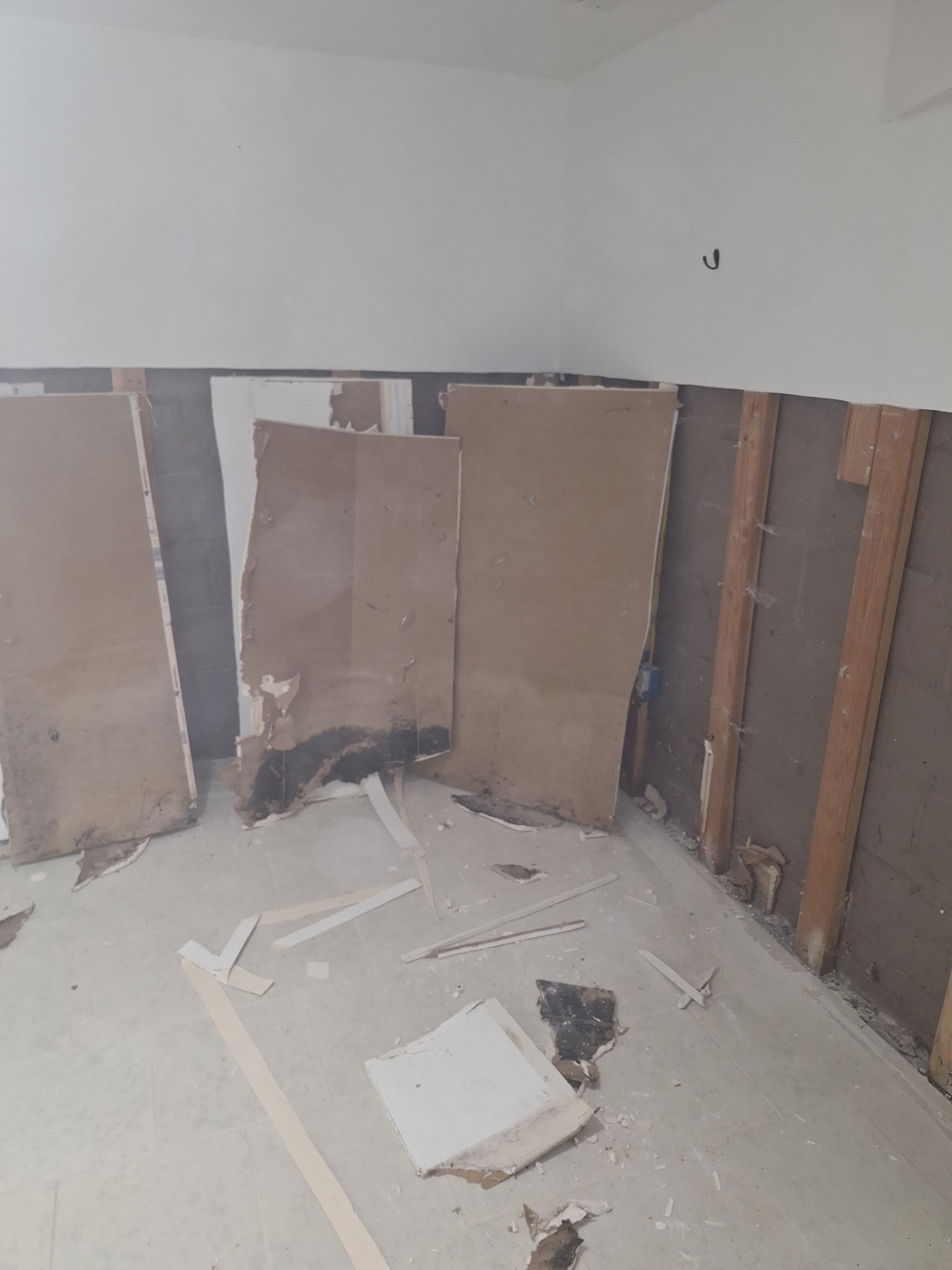 Home Remodeling Before Picture